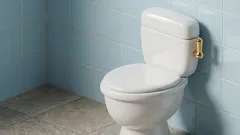 What We Were Never Taught: A Simple Habit for More Comfort