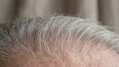Why Gray Hair Is a Sign of Good Health