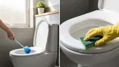 How to Clean a Toilet Seat Until It Shines: You’ll Need a Simple Kitchen Remedy
