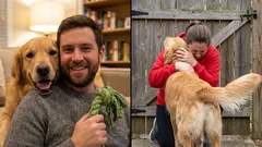 Can dogs say “thank you,” and how do they do it