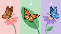 Personality Test: Choose a Butterfly and Find Out What You’re Like Among Friends